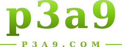 p3a9 logo